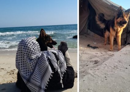 عالم يحنو على الكلاب... ويُشيح بوجهه عن شتات الفلسطينيين ودمائهم!