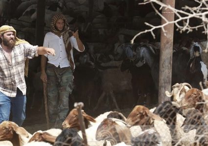 مستوطنون يسرقون ويقتلون عشرات رؤوس الأغنام في الأغوار الشمالية