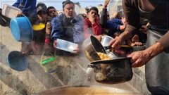 الأغذية العالمي: شخص من كل 3 بغزة لا يتناول الطعام أياما