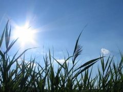 الطقس: أجواء حارة وجافة حتى الخميس