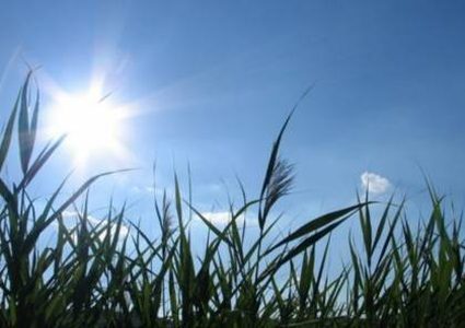 الطقس: أجواء حارة وجافة حتى الخميس