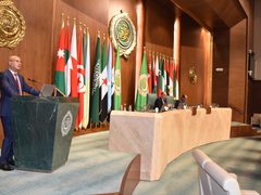 أمام مجلس الجامعة العربية: أبو هولي يطالب بخطة دبلوماسية لوقف حرب الإبادة