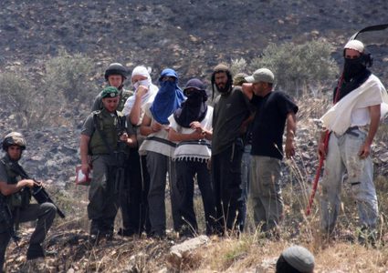 مستوطنون يحرقون أراض في برقة شمال غرب نابلس