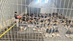 المحامي محاجنة: الأسرى يتعرضون لتعذيب مروّع واعتداءات جنسية في سجون الاحتلال