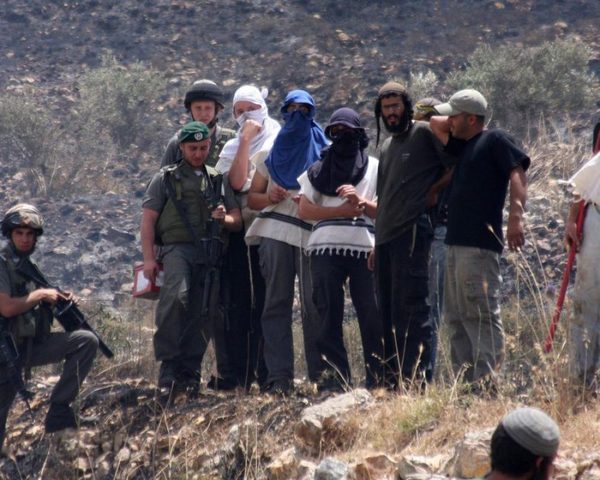 155 انتهاكًا بيئيًا بالضفة :تقرير رسمي يوثق جرائم الاحتلال بحق البيئة الفلسطينية