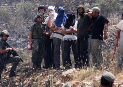 155 انتهاكًا بيئيًا بالضفة :تقرير رسمي يوثق جرائم الاحتلال بحق البيئة الفلسطينية