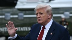 ترامب: على إسرائيل إطعام سكان غزة... ولا نريد أن يتضور أحد جوعا