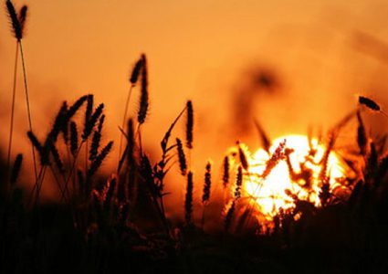 حالة الطقس: موجة حر قياسية ذروتها غدا