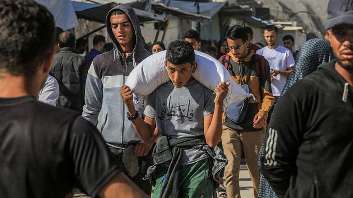 "شباب فلسطين بين الأمل والصمود: تحديات غير مسبوقة في اليوم العالمي للشباب"