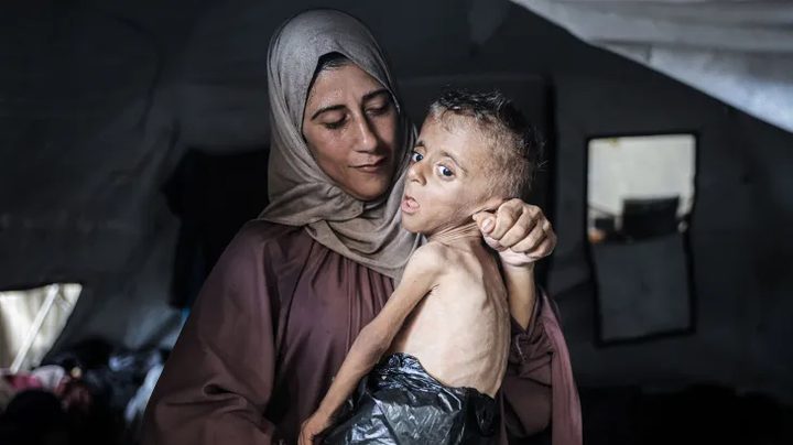 "الأغذية العالمي": نصف مليون فلسطيني في غزة على شفا المجاعة