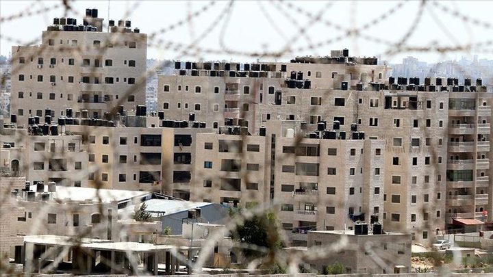 وزير الخارجية البريطاني: تنفيذ مخطط (E1) سيشكل انتهاكا صارخا للقانون الدولي
