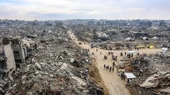 تقرير حقوقي: "إسرائيل" دمرت 93% من الأراضي الزراعية في قطاع غزة