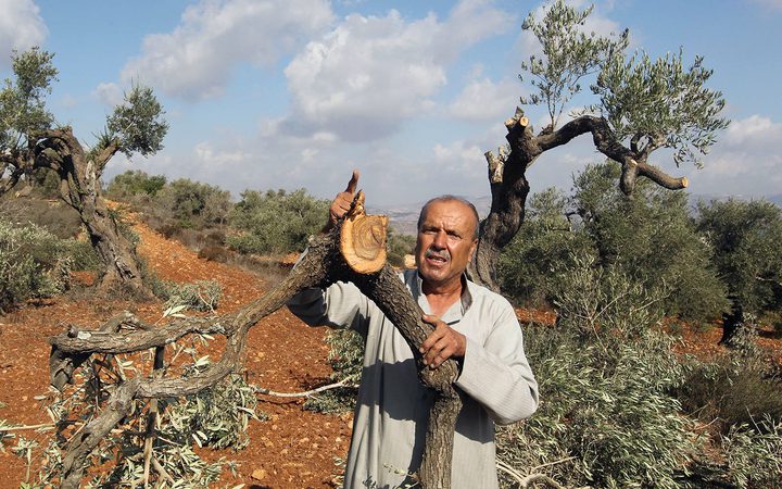 الاحتلال يواصل اقتحام قرية المغير شرق رام الله.. والمستوطنون يقتلعون آلاف أشجار