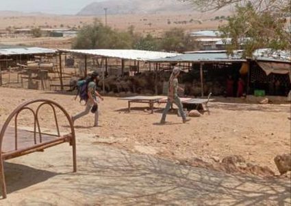 مستوطن يستولي على منزل في تجمع شلال العوجا شمال أريحا