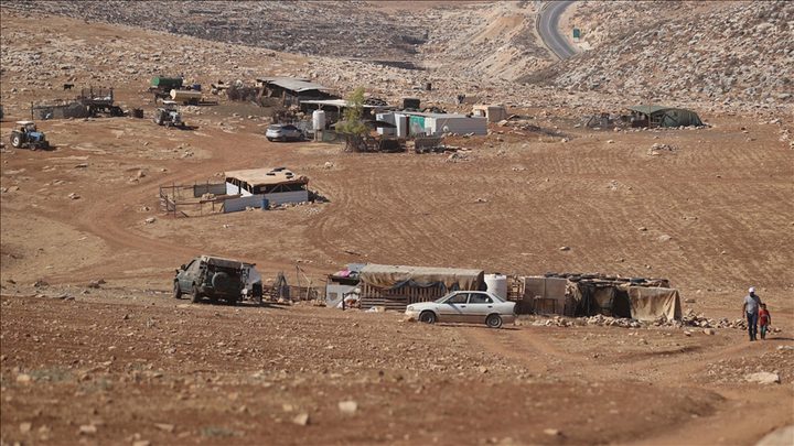 مستوطنون يسرقون 20 ناقة بمسافر يطا جنوب الخليل