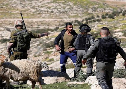 مستوطنون يهاجمون رعاة الأغنام بمسافر يطا جنوب الخليل