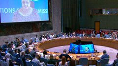 حماس ترحب ببيان أعضاء مجلس الأمن وتدعو لخطوات عملية لوقف الإبادة في غزة