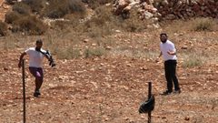 مستوطنون يعتدون على مزارع ويسرقون أغنامه من كفر مالك