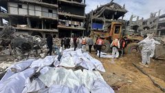 أكثر من 500 موظف بالأمم المتحدة يطالبون بوصف حرب غزة بالإبادة الجماعية