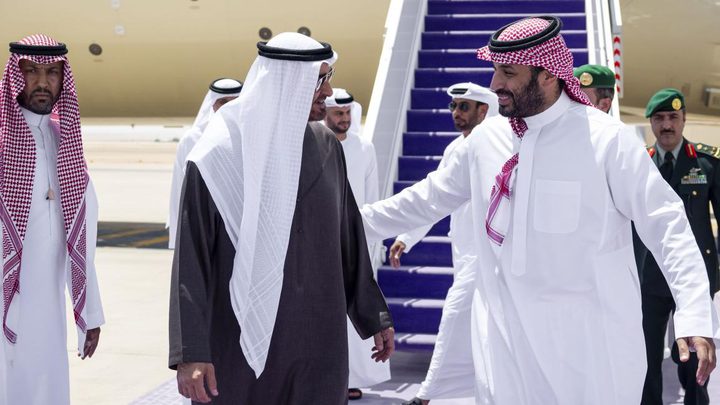 رئيس الإمارات وولي العهد السعودي يبحثان تطورات القضية الفلسطينية