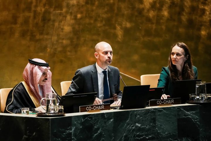 فنلندا تنضم إلى إعلان نيويورك بشأن حل الدولتين