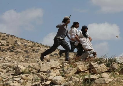 مستعمرون يعتدون على خلايا شمسية في المالح