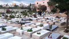 أبو هولي: إنشاء مقبرة جديدة لمخيم البرج الشمالي في لبنان