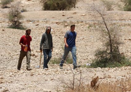 مستوطنون يقتحمون تجمع الحمة بالأغوار الشمالية