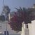 هل أخبر نتنياهو ترامب قبل ضرب إسرائيل لمسؤولي حماس في قطر؟