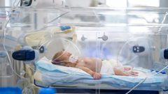 (يونيسف) تدعو لإجلاء 25 رضيعاً في حضانات مدينة غزة