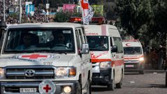 "الصليب الأحمر" تعلق عملها مؤقتا بمدينة غزة بسبب تصاعد عدوان الاحتلال