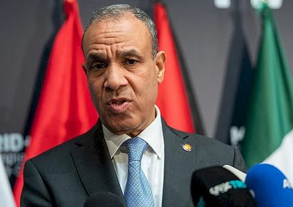 وزير الخارجية المصري: نحاول إقناع حماس بالرد بالإيجاب على خطة ترامب
