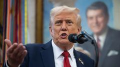 مصر تستضيف وفدي حماس والاحتلال غدا الاثنين لإتمام خطة ترامب بغزة