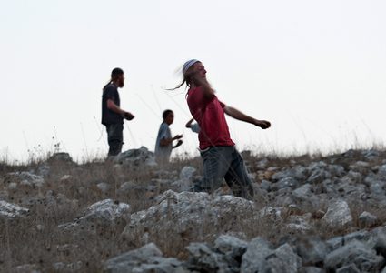 مستعمرون يعتدون على سيدة شمال طوباس