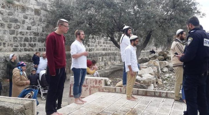 مستعمرون يقتحمون بلدة كفل حارس