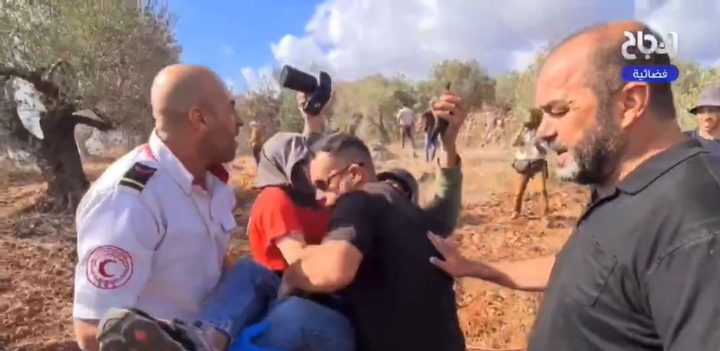 الزيتون في فلسطين... موسم رزق أم معركة صمود؟