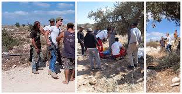 إصابات بالاختناق خلال هجوم للمستعمرين على قاطفي الزيتون في بيتا جنوب نابلس