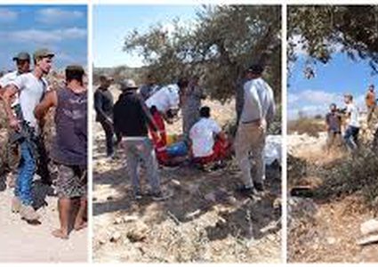 إصابات بالاختناق خلال هجوم للمستعمرين على قاطفي الزيتون في بيتا جنوب نابلس