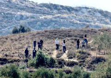 مستوطنون يقتحمون خلة مكحول وخربة سمرة في الأغوار الشمالية