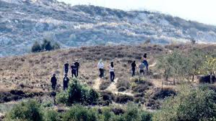 مستوطنون يقتحمون خلة مكحول وخربة سمرة في الأغوار الشمالية