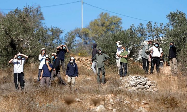 مستوطنون يسرقون ثمار زيتون جنوب نابلس