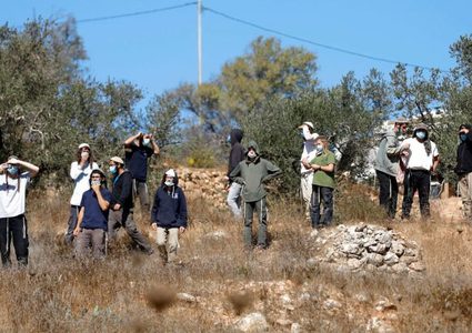 مستوطنون يسرقون ثمار زيتون جنوب نابلس