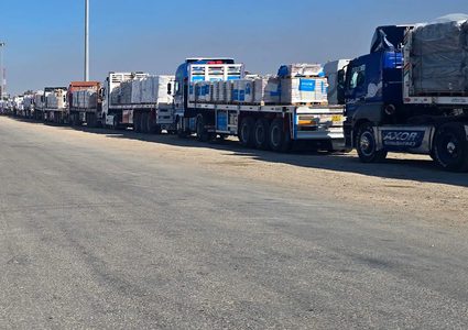 الاعلام الحكومي في غزة: ١٧٣ شاحنة مساعدات دخلت غزة منذ امس