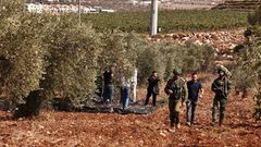 مستوطنون يهاجمون قاطفي الزيتون جنوب نابلس وشرق بيت لحم