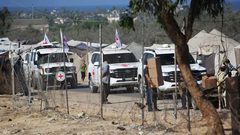 مصر: استعادة جثث الرهائن الإسرائيليين من غزة مهمة معقدة وتتطلب وقتاً