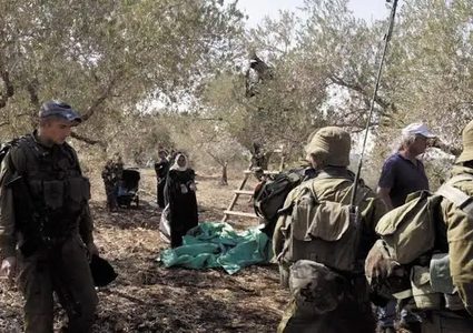 جيش الاحتلال والمستوطنين يعتدون على قاطفي الزيتون في كفر راعي جنوب جنين