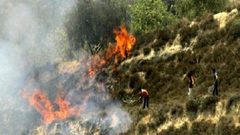 مستوطنون يضرمون النار في أراضي المواطنين شرق رام الله