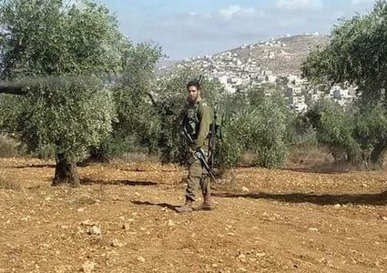 الاحتلال والمستوطنون يهاجمون قاطفي الزيتون في عدة قرى جنوب نابلس