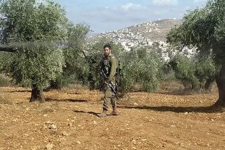 الاحتلال والمستوطنون يهاجمون قاطفي الزيتون في عدة قرى جنوب نابلس