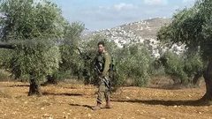 الاحتلال والمستوطنون يهاجمون قاطفي الزيتون في عدة قرى جنوب نابلس